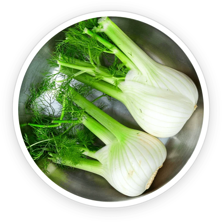 Fennel seed