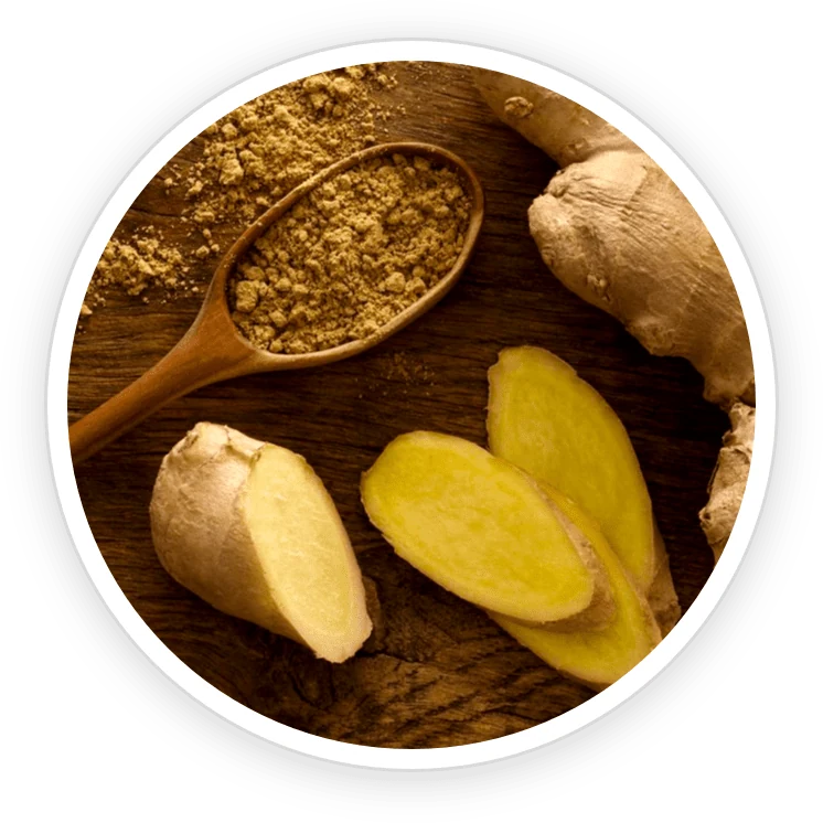 Ginger root extract