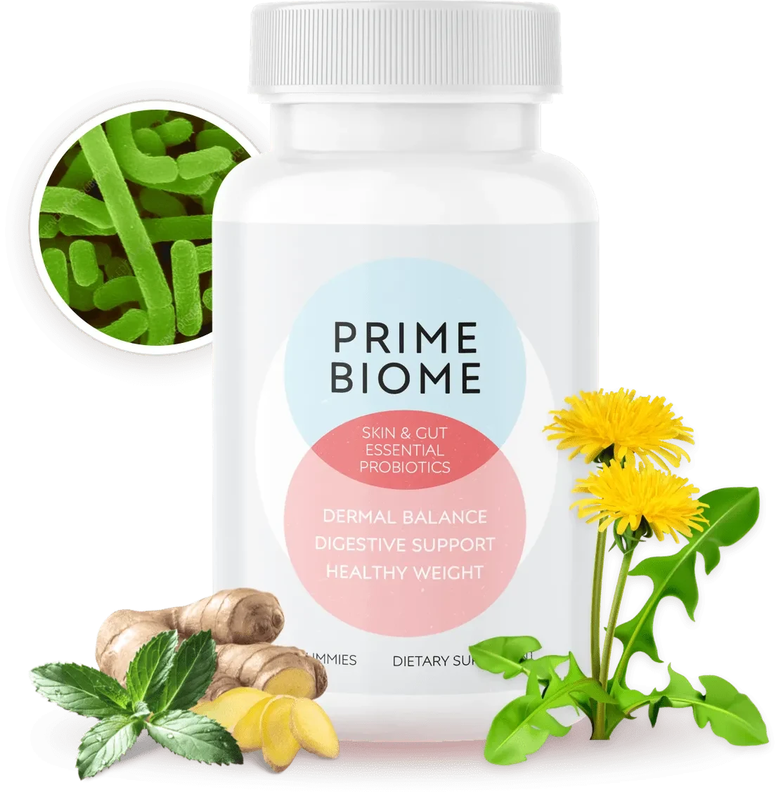 PrimeBiome bottle with supporting botanical imagery